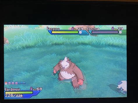 shiny pangoro|[7] Shiny Pangoro after 215 sos calls! I got Pancham the first.